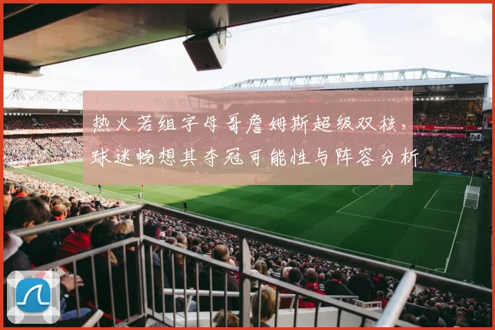 热火若组字母哥詹姆斯超级双核，球迷畅想其夺冠可能性与阵容分析